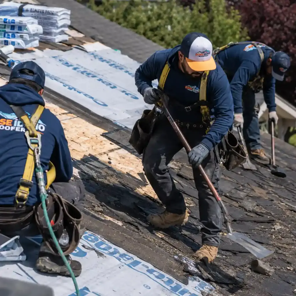 boise idaho roof